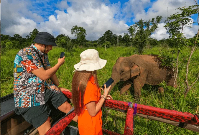 All-Inclusive Hurulu Eco Park Safari: Private 4×4 Jeep Tour with Hotel Pickup
