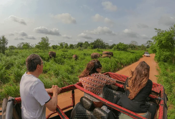 All-Inclusive Hurulu Eco Park Safari: Private 4×4 Jeep Tour with Hotel Pickup