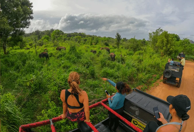 All-Inclusive Hurulu Eco Park Safari: Private 4×4 Jeep Tour with Hotel Pickup