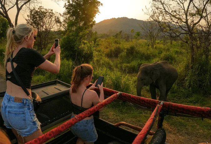 All-Inclusive Hurulu Eco Park Safari: Private 4×4 Jeep Tour with Hotel Pickup