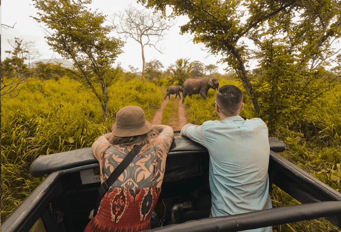 All-Inclusive Hurulu Eco Park Safari: Private 4×4 Jeep Tour with Hotel Pickup